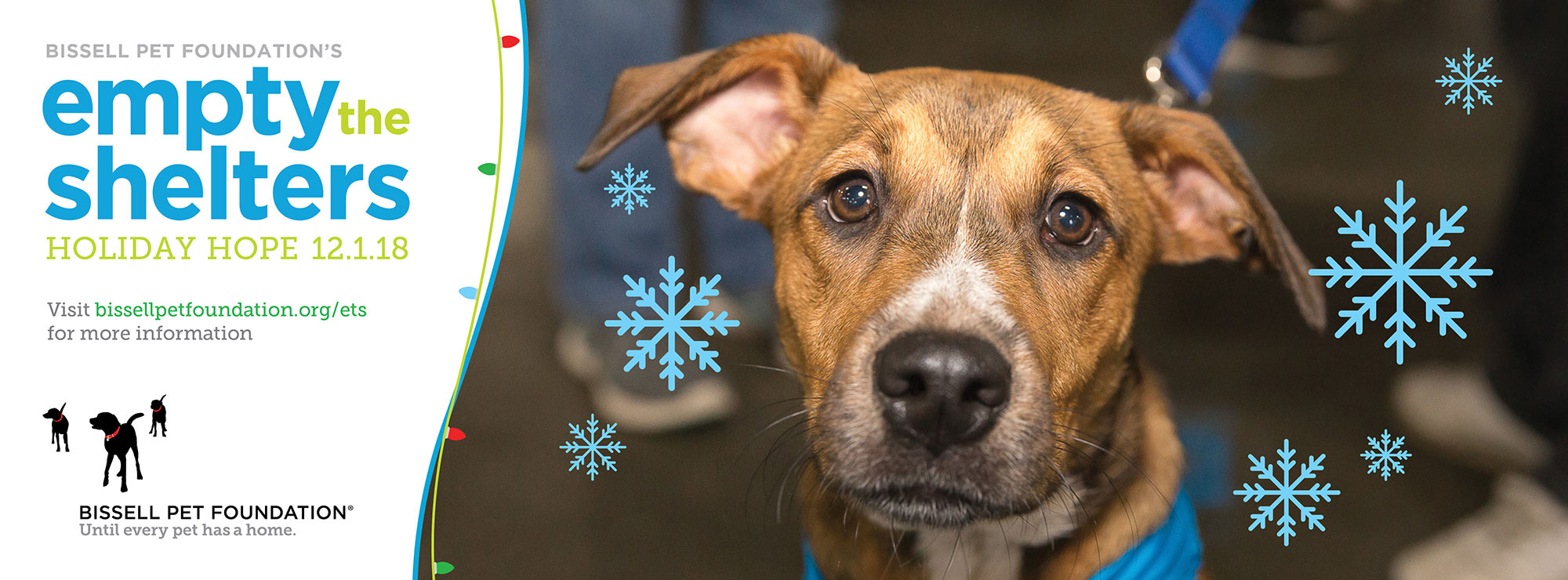 Empty the Shelters with Bissell Pet Foundation - Friends for Animals of Metro Detroit Empty the Shelters with Bissell Pet Foundation - Friends for Animals of Metro Detroit