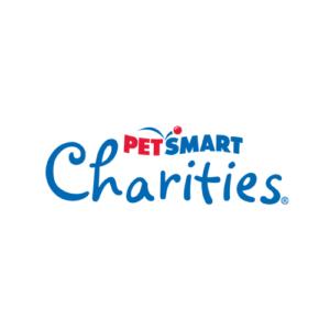 National Kitten Day Adoption Event at PetSmart Woodhaven