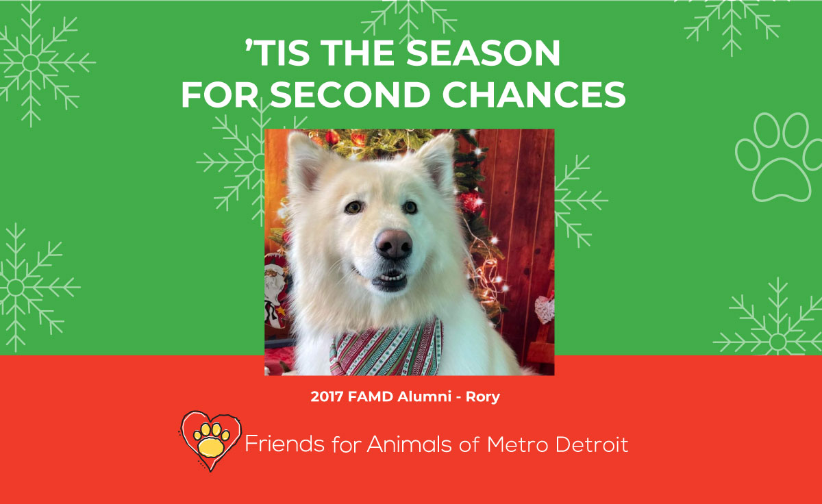 FAMD Holiday Catalog - Friends for Animals of Metro Detroit