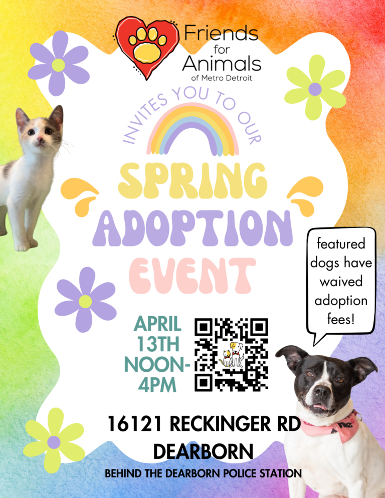 Spring Adoption Event Featuring Foster Animals - Friends for Animals of ...